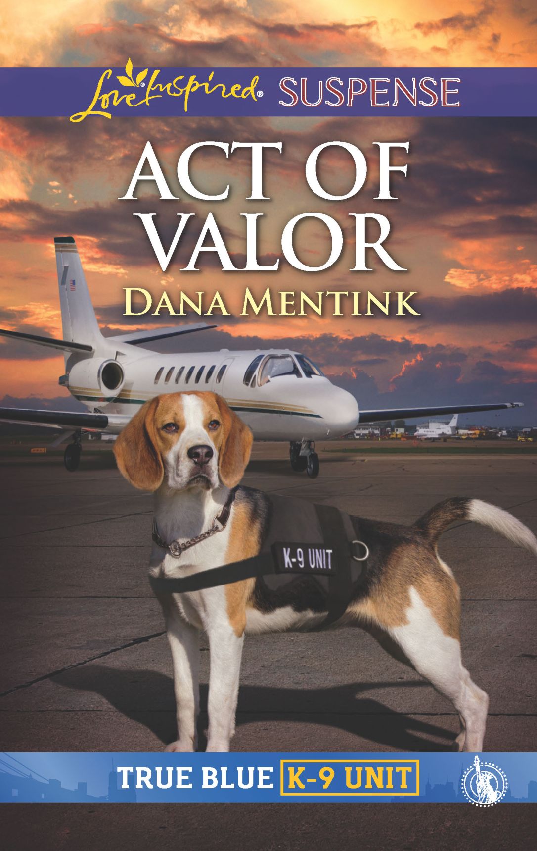 Act of Valor cover